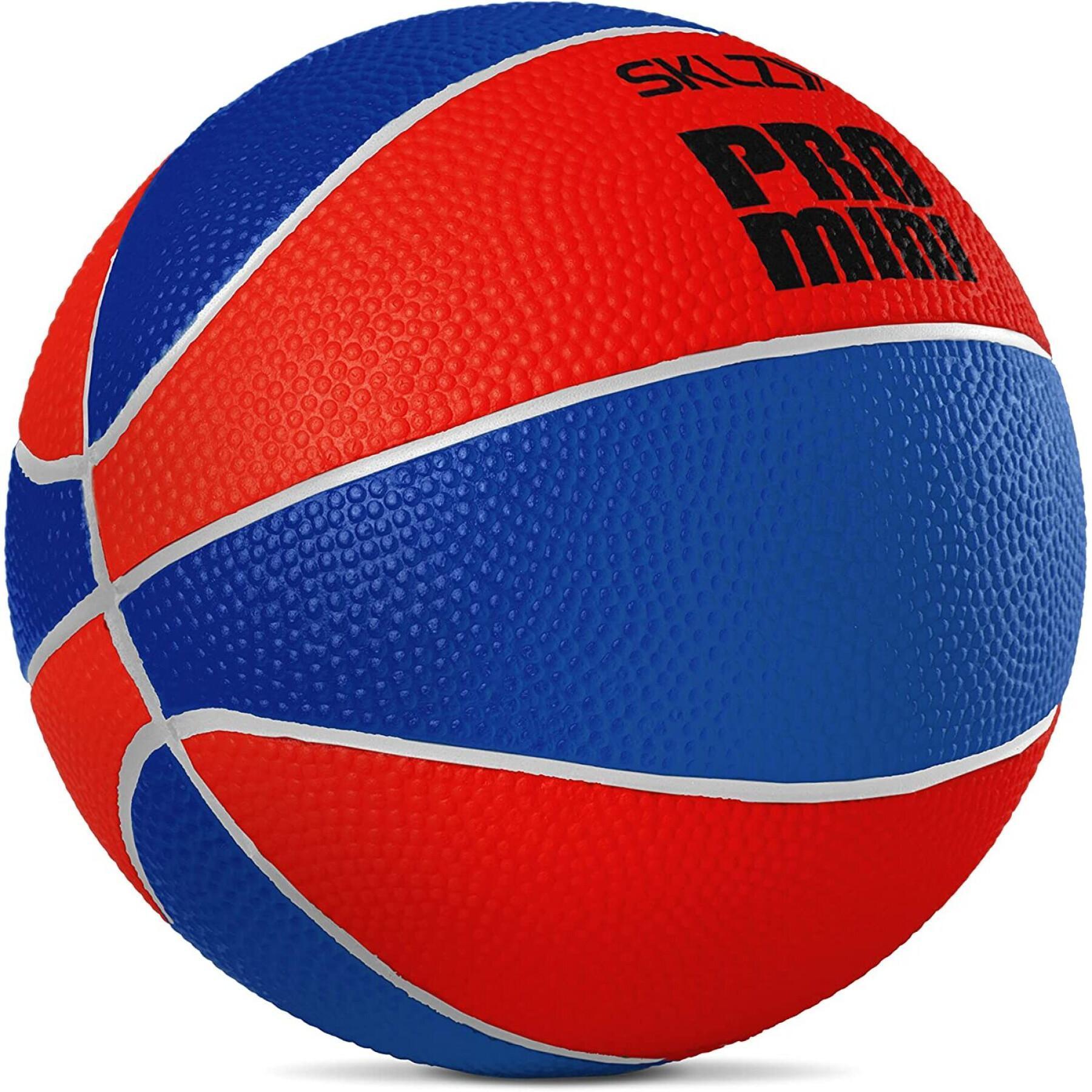 Mini-basket SKLZ Pro Swish Foam Ball