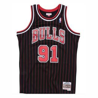 Authentic Jersey Chicago Bulls Dennis Rodman #91 1995/1996