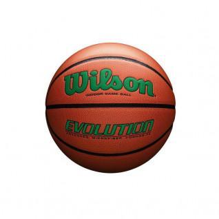 Basketball Wilson Evolution 295 Game ball GR