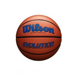 Basketball Wilson Evolution 295