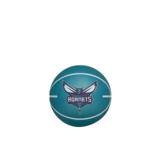 Bouncing ball nba dribbling Charlotte Hornets