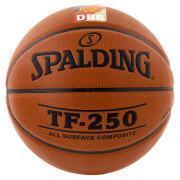 Balloon Spalding DBB Tf250 (74-592z)