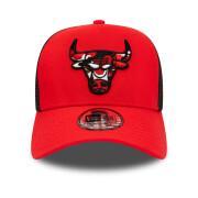 Cap Chicago Bulls Team Infill