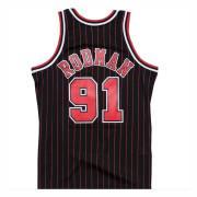 Authentic Jersey Chicago Bulls Dennis Rodman #91 1995/1996