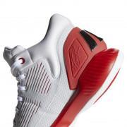 Indoor shoes adidas D Rose 10