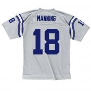 Vintage jersey Indianapolis Colts platinum Peyton Manning