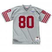 Vintage jersey San Francisco 49ers platinum Jerry Rice