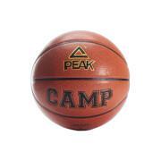 Ball Peak Camp