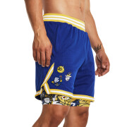 Mesh shorts Under Armour Curry