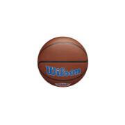 Basketball New York Knicks NBA Team Alliance