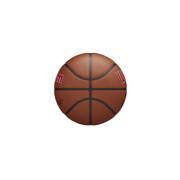 Basketball Toronto Raptors NBA Team Alliance