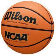 Ball NCAA Evo Nxt Replica