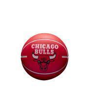 Basketball NBA dribbling Chicago Bulls
