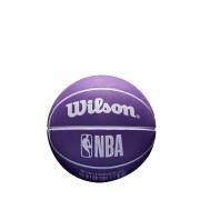 Basketball NBA dribbling Los Angeles Lakers